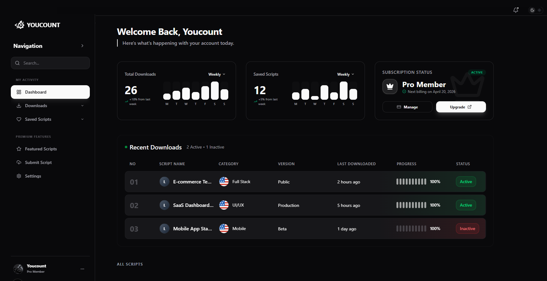 youcount dashboard preview